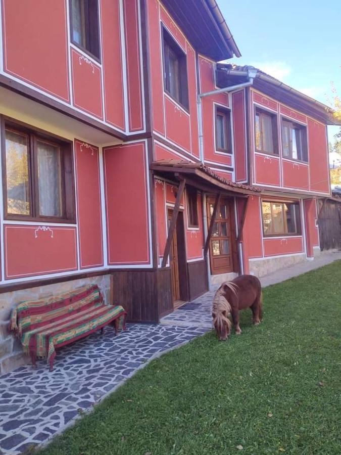 Стаи За Гости Дора Koprivshtitsa Exterior foto